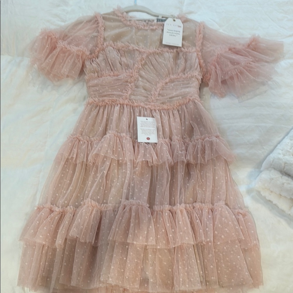 Ivy City Co whimsical dress in light pink